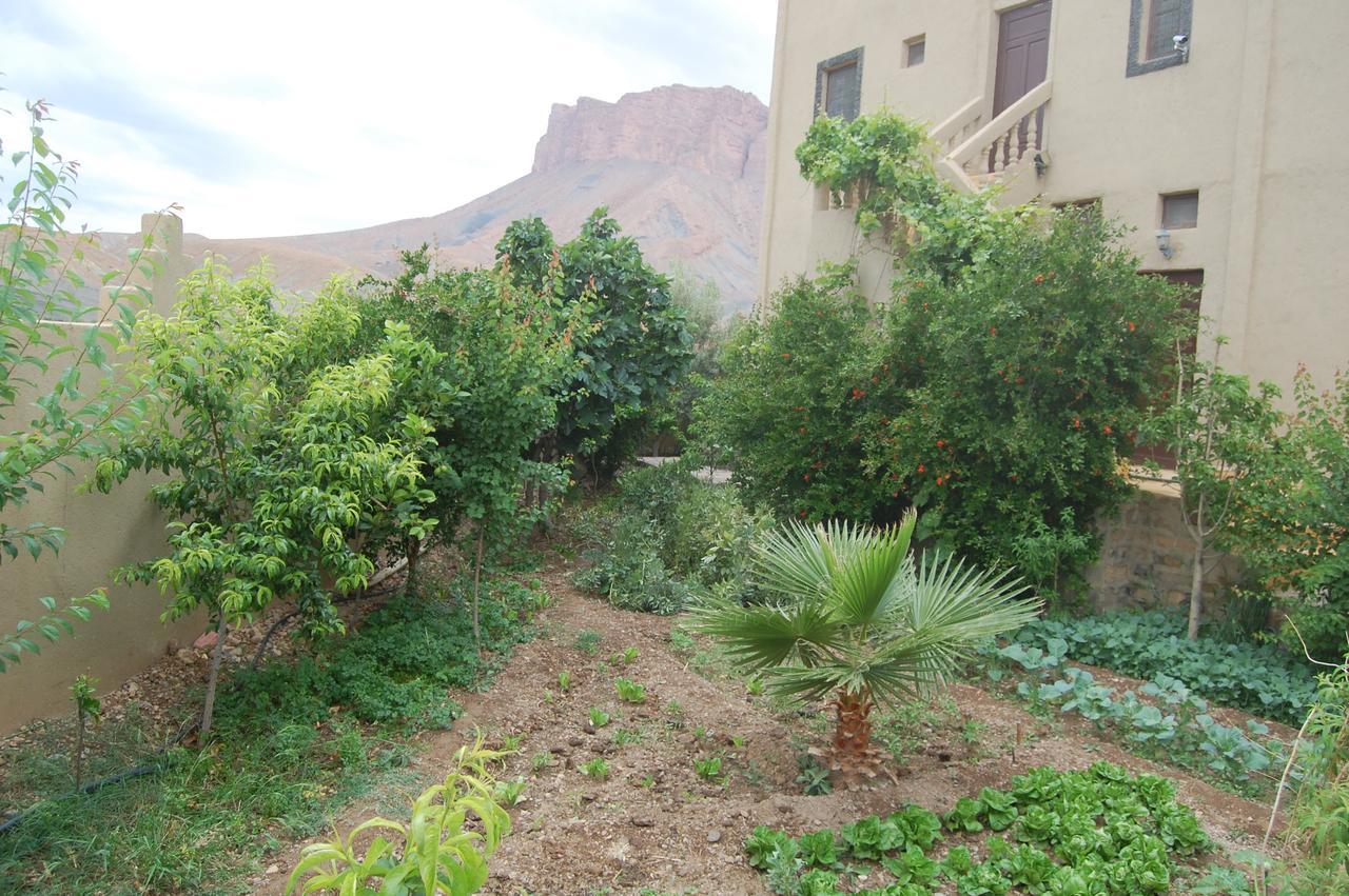 Auberge Amellagou Bagian luar foto